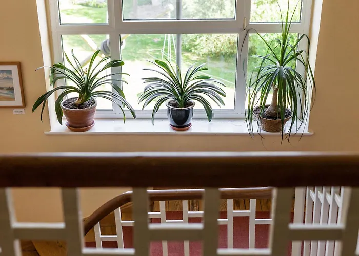 Gutshaus Barkow B&B *